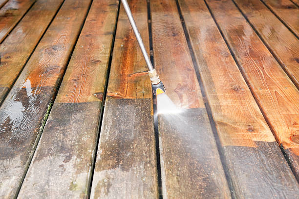 Animal Enclosure Cleaning in West Salem, WI
